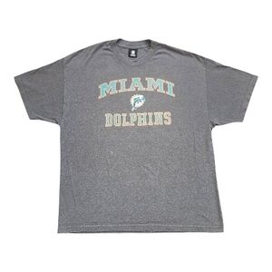 Miami Dolphins Official NFL Merch Gray Short Sleeve Team Tee Blokecore